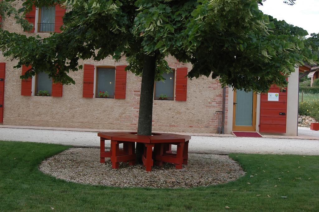 Agriturismo La Paterna Giavera del Montello Dış mekan fotoğraf